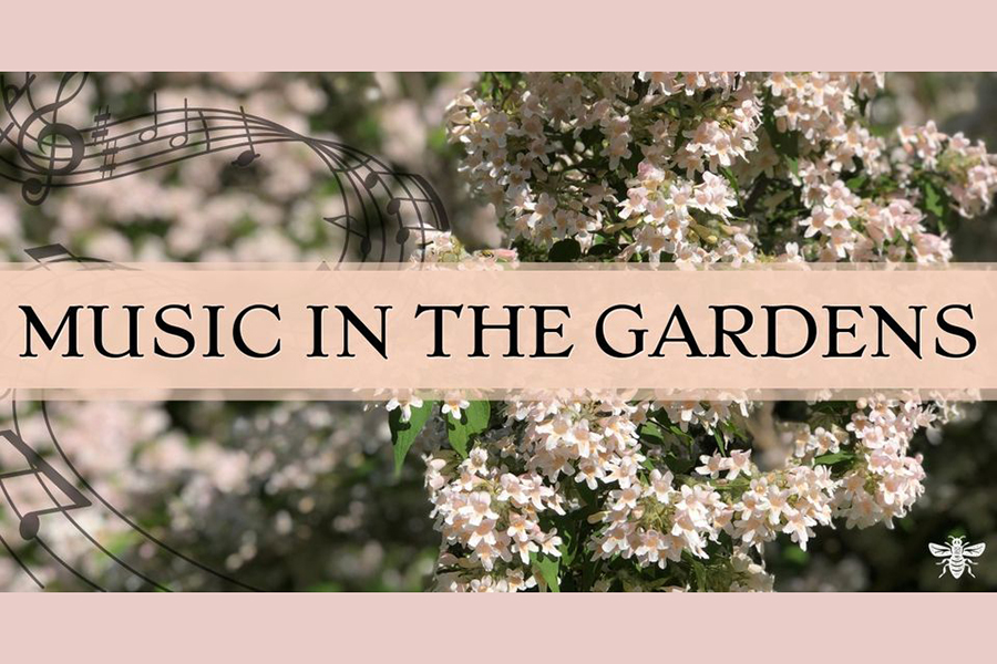 Music in the Gardens at 577