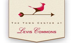 Image for Town Center at Levis Commons