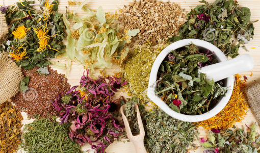 Growing Herbs for Health & Healing