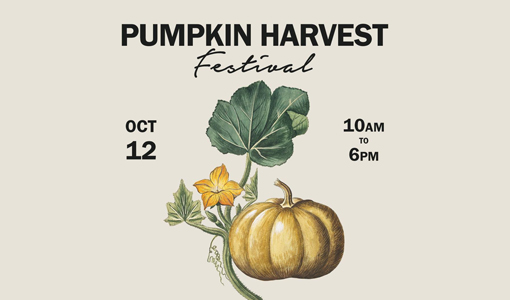 Hoen's Pumpkin Harvest Festival