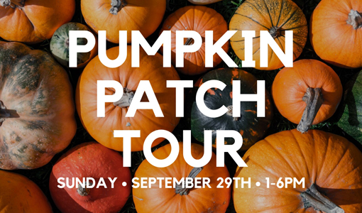 Team Johnson Pumpkin Patch Tour