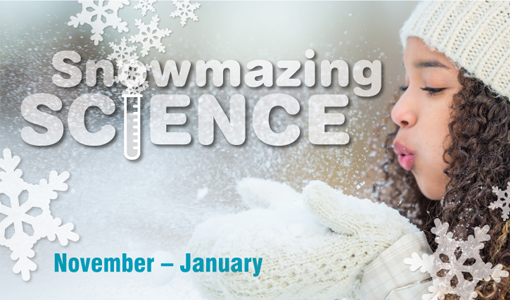 Snowmazing Science