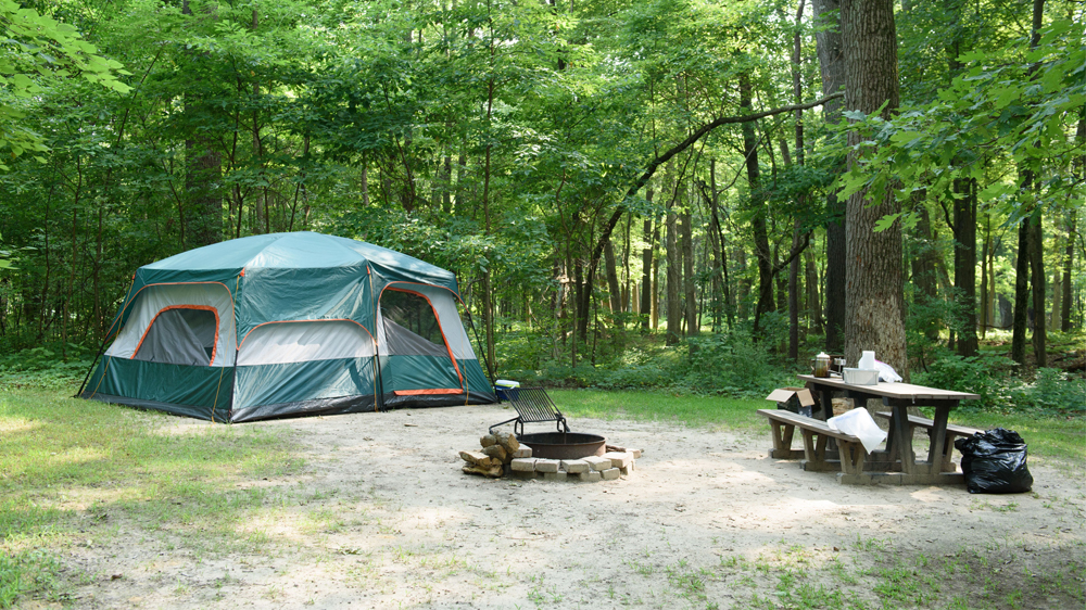 Camping and Cabins.