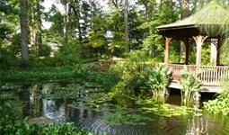 Select https://metroparkstoledo.com/explore-your-parks/toledo-botanical-garden-metropark/