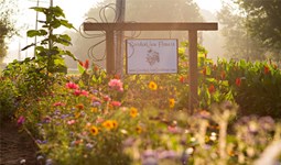 Select https://www.gardenviewweddings.com/upickflowers