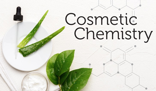 STEMinist Virtual Cosmetic Chemistry
