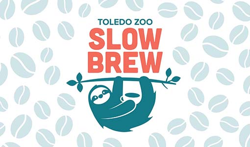 Slow Brew at the Zoo