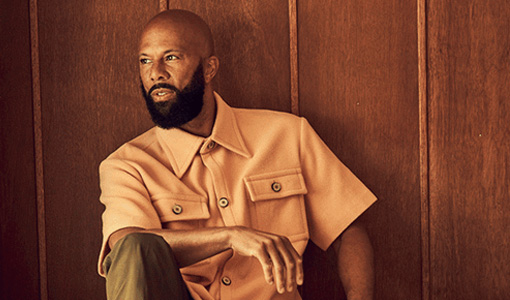 ProMedica Live Summer Concert Series | Common CANCELLED