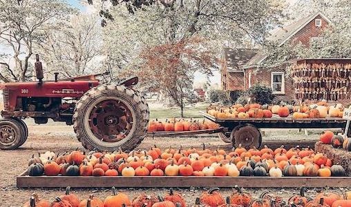 Fleitz Pumpkin Farm 
