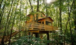 Select https://metroparkstoledo.com/features-and-rentals/treehouse-village-the-stable/