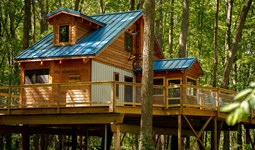 Select https://metroparkstoledo.com/features-and-rentals/treehouse-village-the-hub/