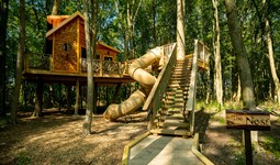 Select https://metroparkstoledo.com/features-and-rentals/treehouse-village-the-nest/