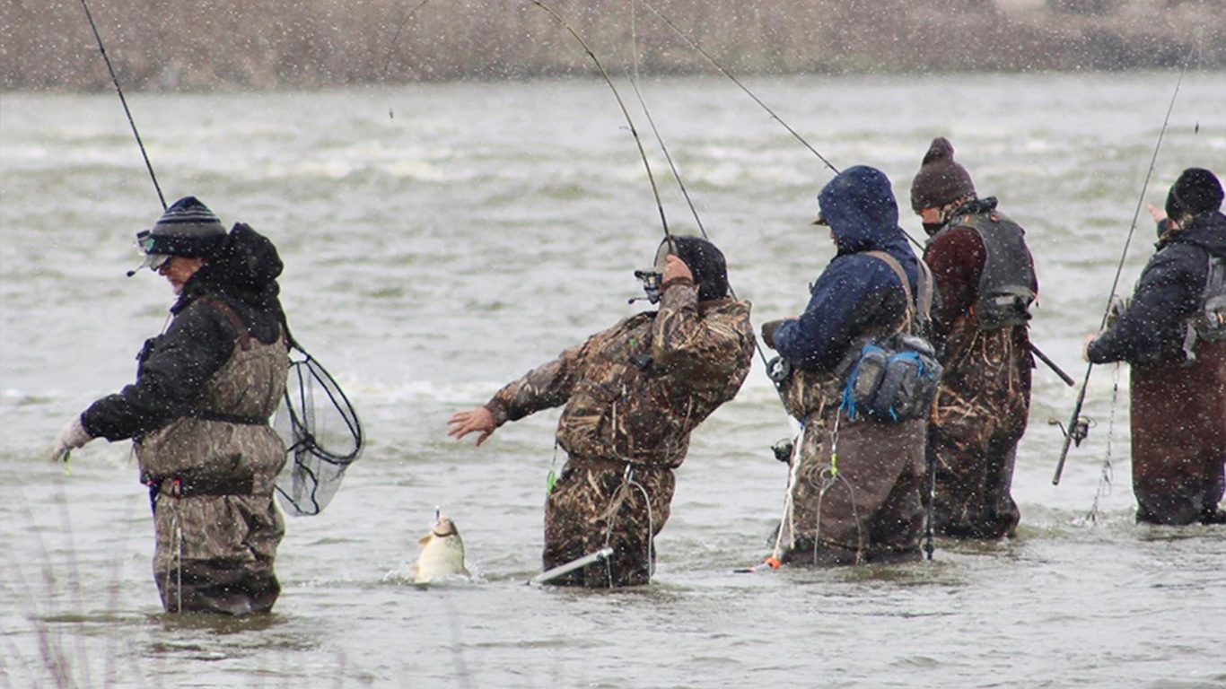 Annual Walleye Run Draws Anglers to the Toledo Region